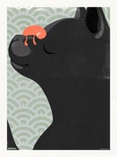 Image of Cat Nap 30x40cm