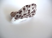 Image of papillOn* (marron)