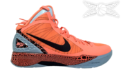 Image of Nike Zoom HyperDunk 2011 BG PE "Blake Griffin"