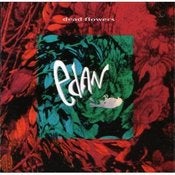 Image of "EDAN" band 1992 release - "Dead Flowers"