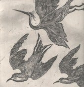 Image of Birds