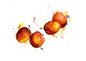 Image of Victoria Plums