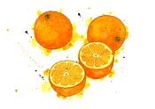 Image of Seville Oranges