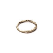 Image of 14k gold medio branch ring (R0214k)