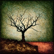 Image of "Horizon Tree Dormant 4" <br> Sizes: 4x4", 6x6", 8x8", 12x12" 
