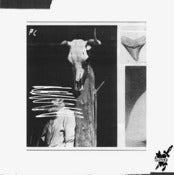 Image of PC Worship- Toxic Love LP