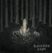 Image of Blackbird Raum/Hail Seizures! Split Ep 7"