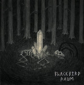 Image of Blackbird Raum/Hail Seizures! Split Ep 7"