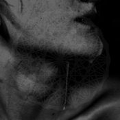 Image of THEOLOGIAN. THE TRANSFIGURATIONS CD-R