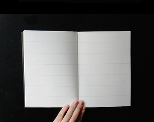 Image of PICNIQ Seven Episodes Agenda