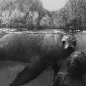 Image of 'Boy and Seal' 8 x10" Limited edition fine art print