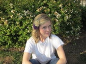 Image of Set of two bows: Purple/Gold