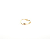 Image of C ring