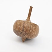 Image of Nutrition Spinning Top
