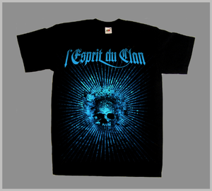 Image of Blue Skull