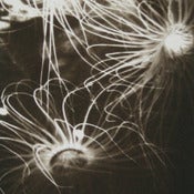 Image of 'Light Lines' Limited edition fine art print