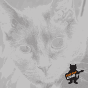 Image of Keep Pop Loud