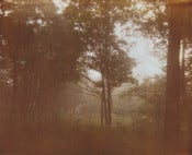 Image of photographic print, fog 2, 6x8"