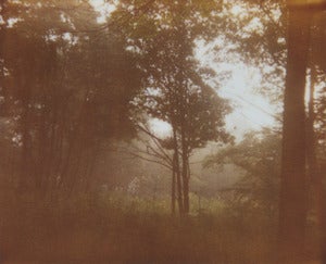 Image of photographic print, fog 2, 6x8"