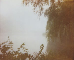 Image of photographic print, fog 3, 6x8"
