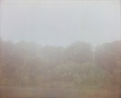 Image of photographic print, fog 4, 6x8"