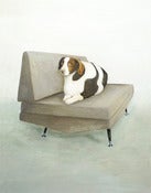 Image of dog on a mid century chair