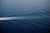 Image of "Wake" By Tao Ruspoli