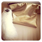 Image of Gold Mushroom Pouch