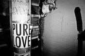 Image of Pure LOVE