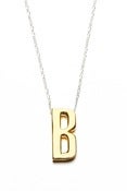 Image of DAL NECKLACE SILVER/GOLD (A-Z)