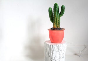 Image of Lampe veilleuse cactus branches ✭