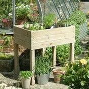 Image of Daisy Hardcastle Raised Planter