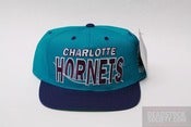 Image of Charlotte Hornets (Wave)
