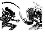 Image of ALIEN VS PREDATOR - BLACK/WHITE