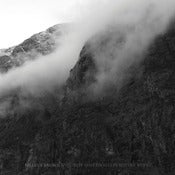 Image of Falls of Rauros "The Light That Dwells in Rotten Wood" CD