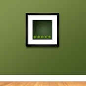 Image of Aerial Art - Animals - Frog Swim