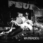 Image of Waterdog