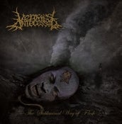 Image of The Subliminal Way Of Flesh (CD - 2011)
