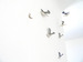 Image of kamomé pin (cocon seagull)
