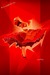 Image of Dancing Flame