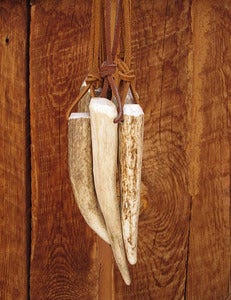 Image of Bigger and Bolder Artemis Necklace
