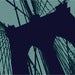 Image of brooklyn bridge optical