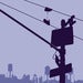 Image of shoes on a wire