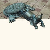 Image of crocodile in the sewer