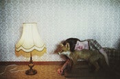 Image of Print - In your room