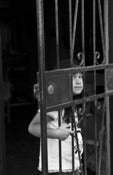 Image of Behind Bars