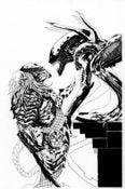 Image of ALIEN VS PREDATOR - BLACK/WHITE VERSION