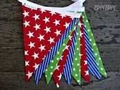 Image of The Hamish Bunting
