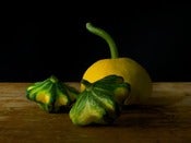 Image of Pattypan squash, Flying Saucer Pattypan squash