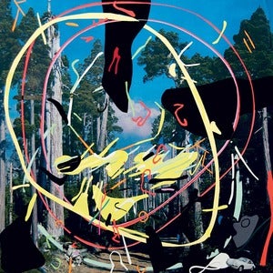 Image of Virginia Echeverria - heed (Book)